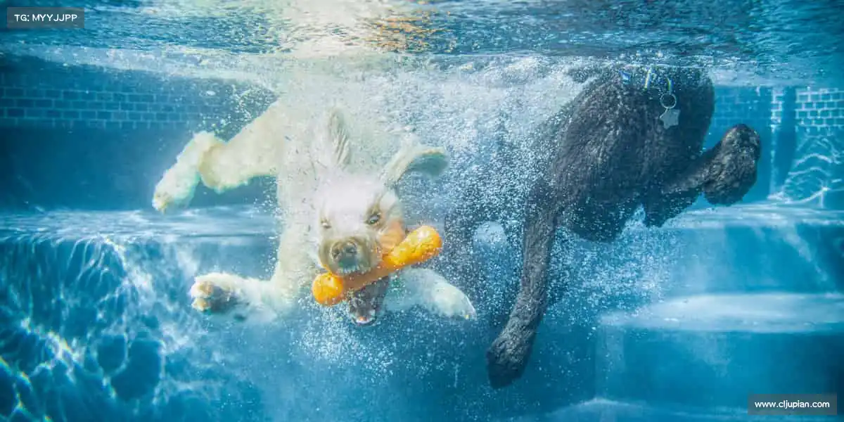 美嘉体育🧗♂️向上攀登,永不止境!体育的魅力,在于超越昨天的自己!